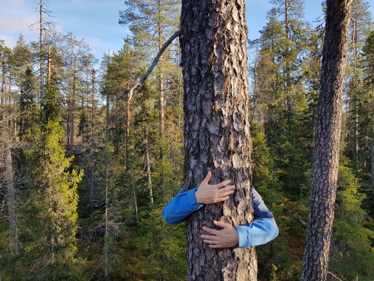 Tall Pine Yoga