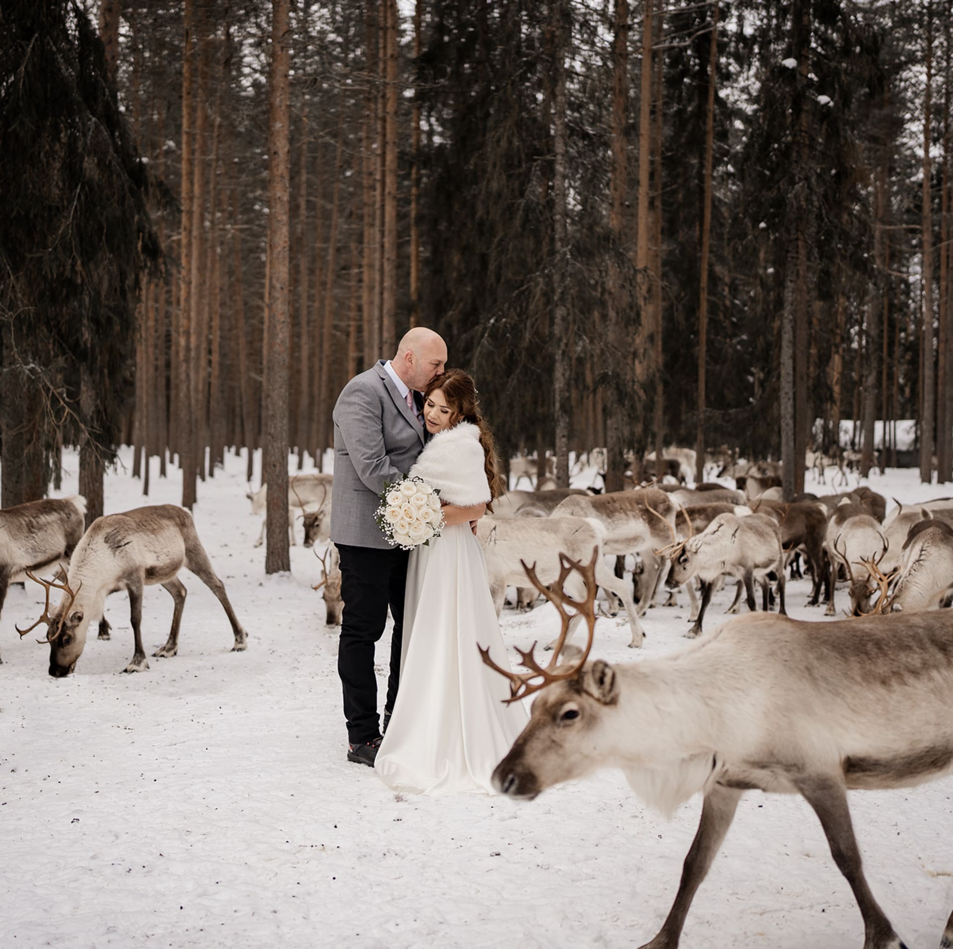 Wedding in the reindeer farm