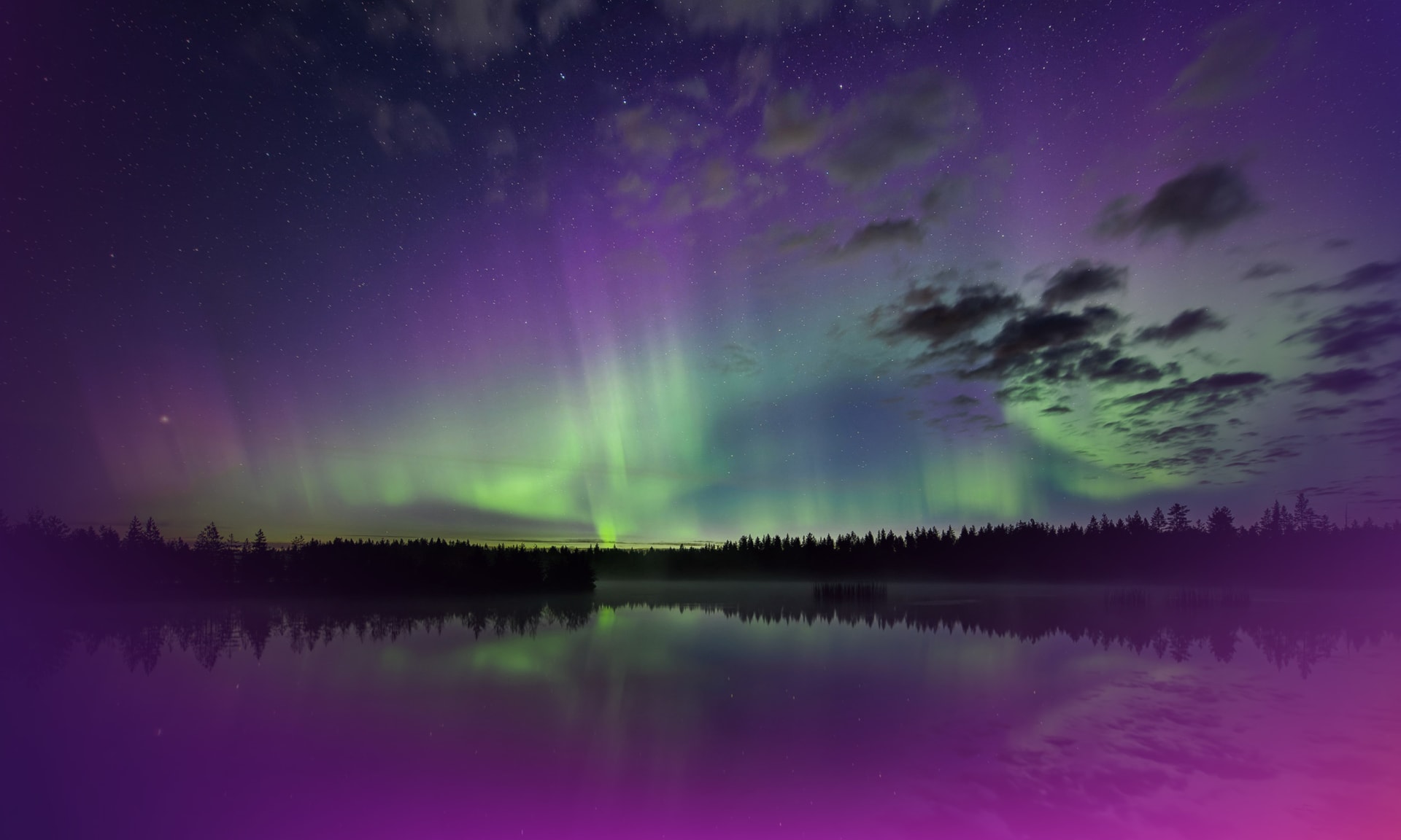 Revontulia yötaivaalla metsän ja vesistön yllä.