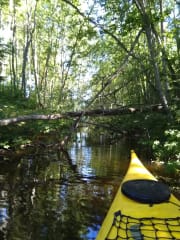 Kajakkivuokrausta, Längelmäveden Venematkat Oy