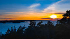 Vehoniemenharjun näkötorni