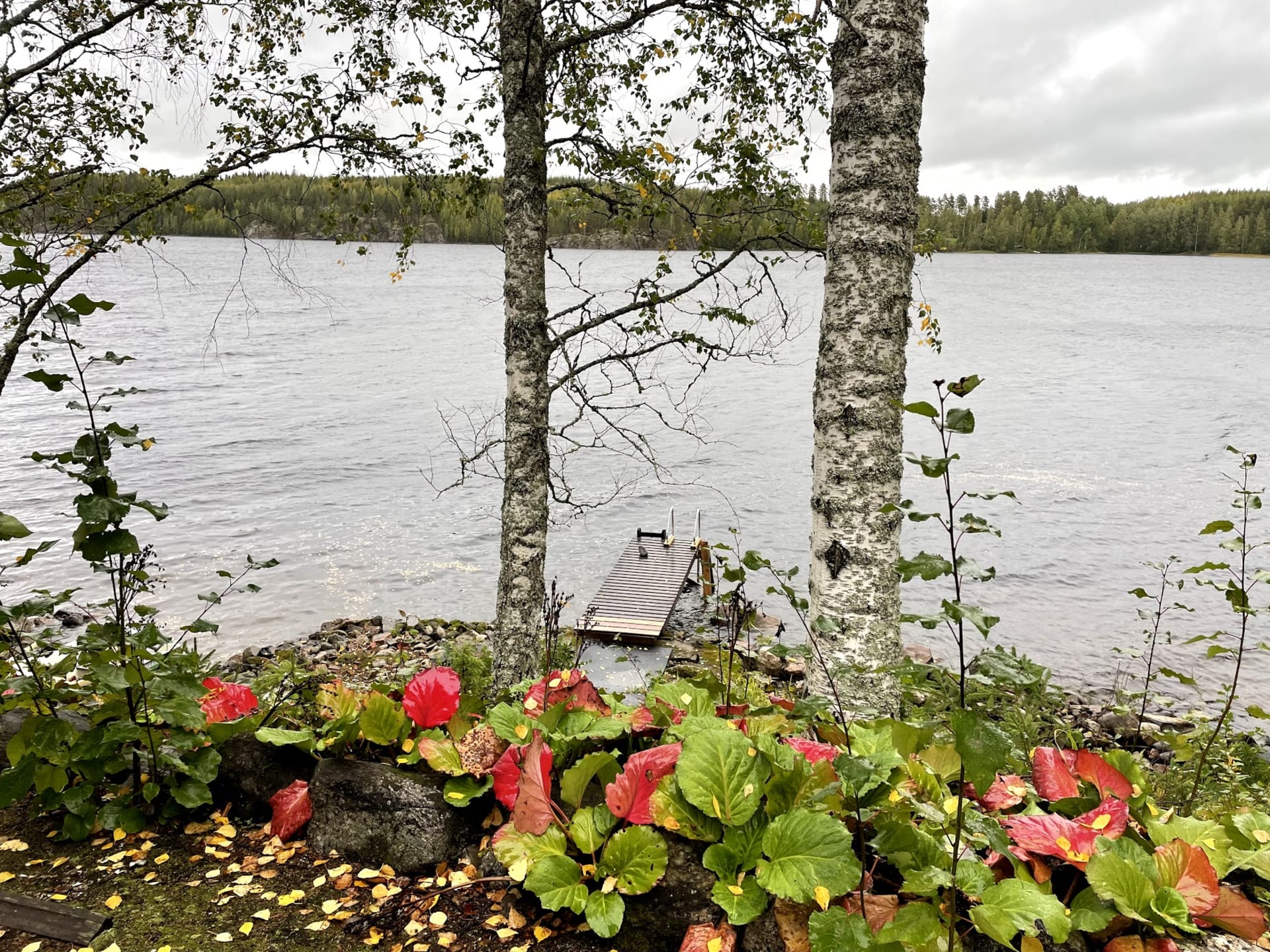 Beach lake Saimaa