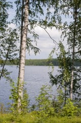 Punainen mökki Puruveden rannalla