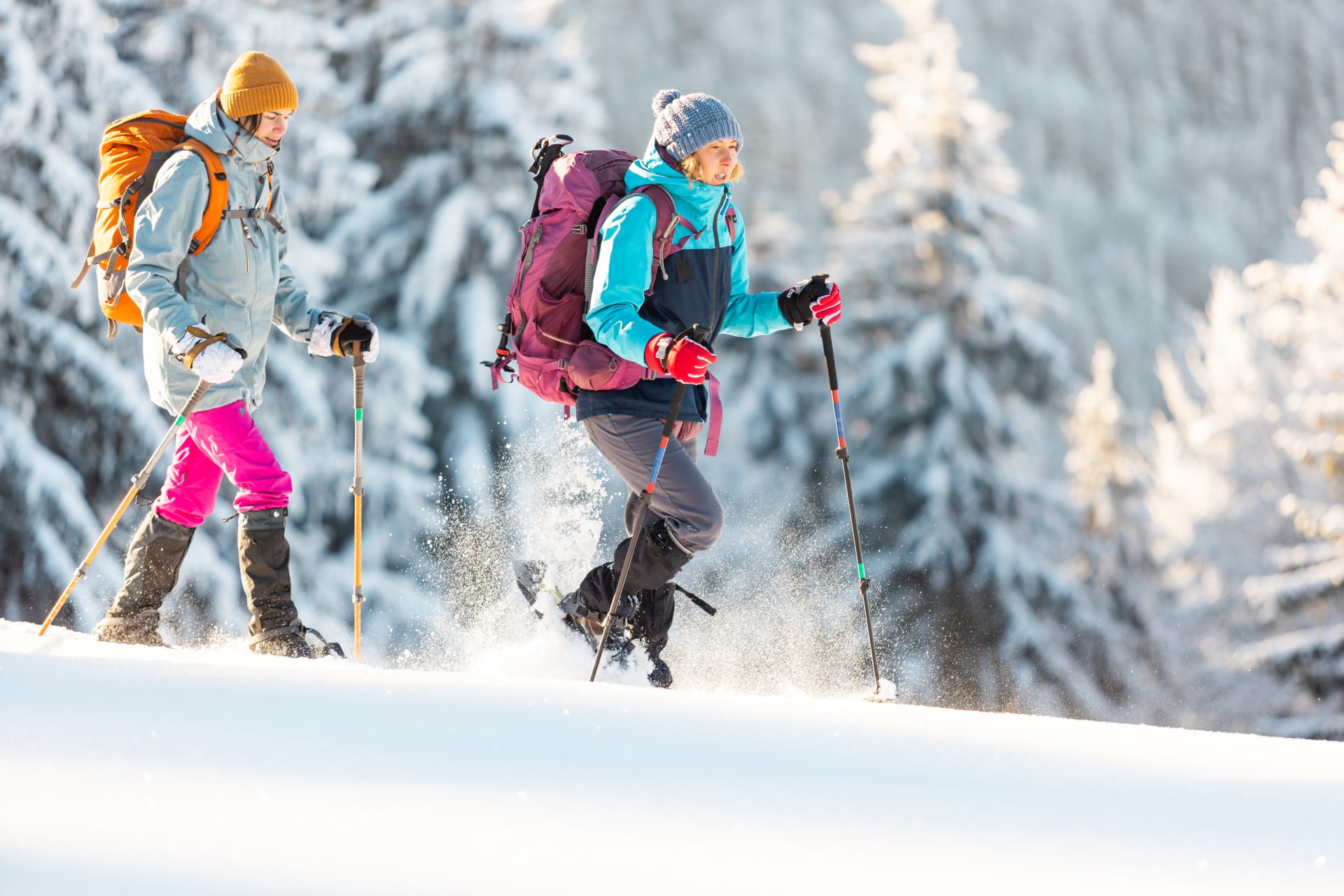 Snowshoeing