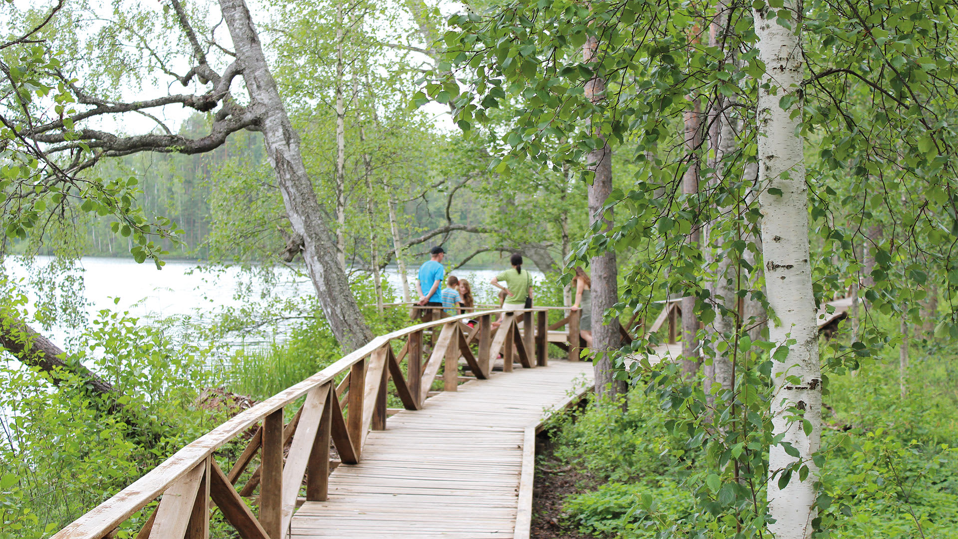 Immo's Nature Trail