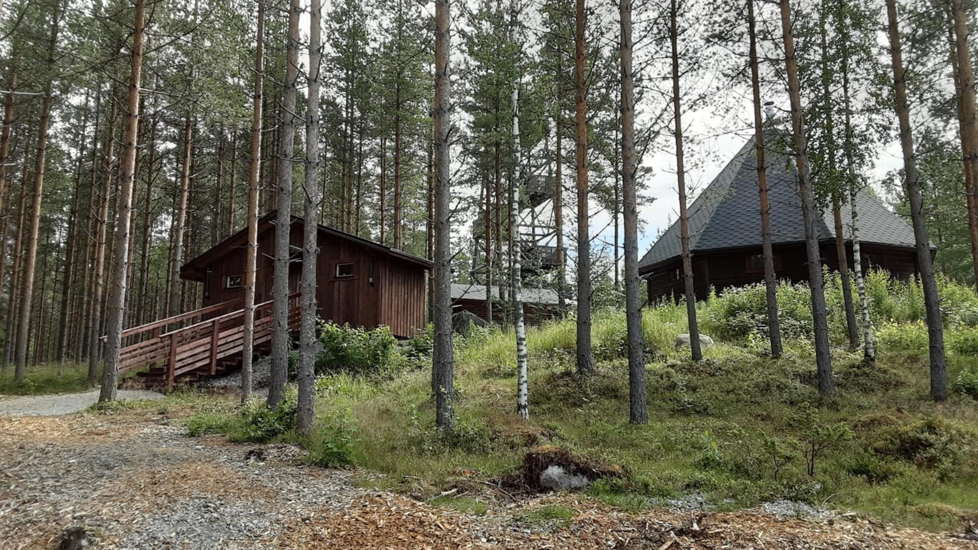 A lappish hut in the middle of a forest