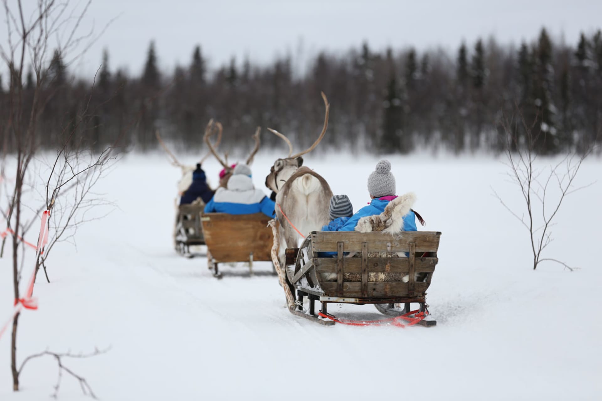 Poronulkka Mettäpirtille - Sleigh Ride to a Lappish Hut