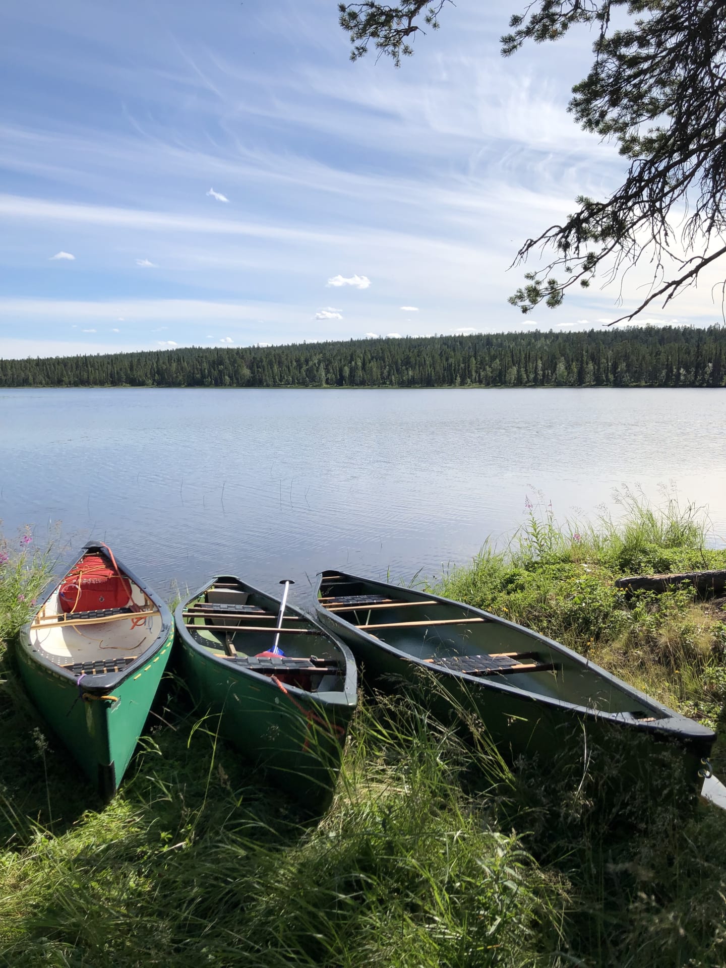 Canoes
