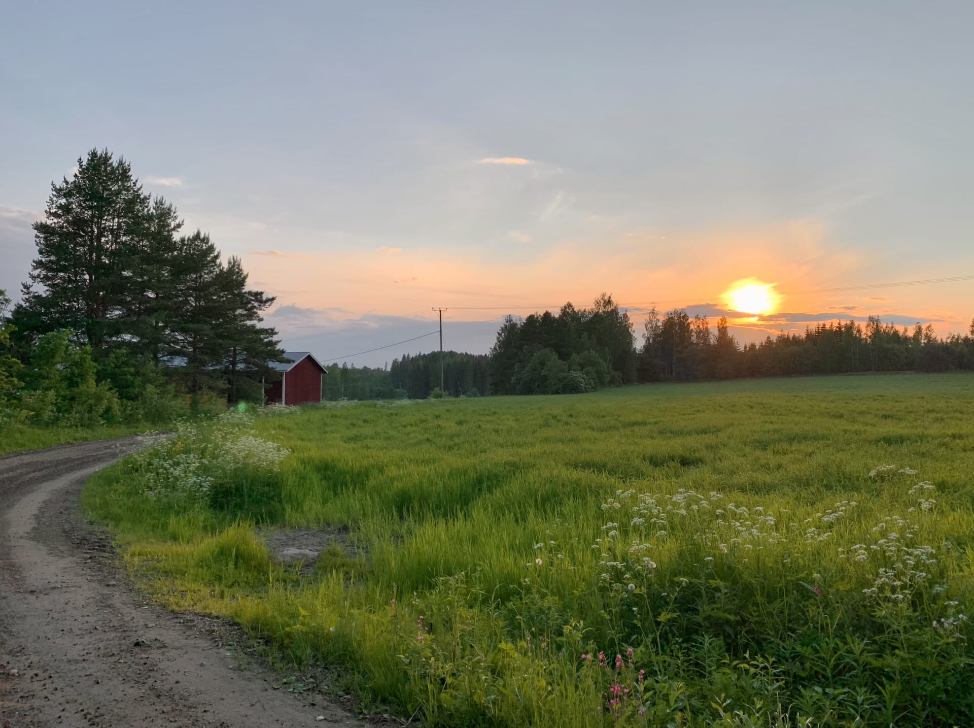 Loikansaari field view