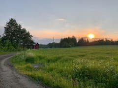 Mökit ja huvilat Savonlinnan saariston sydämessä