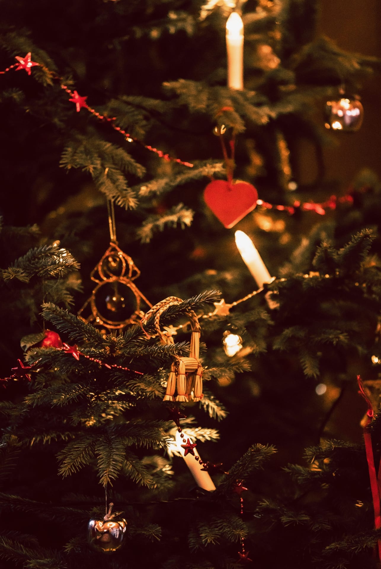 Finnish Christmas with Santa Claus