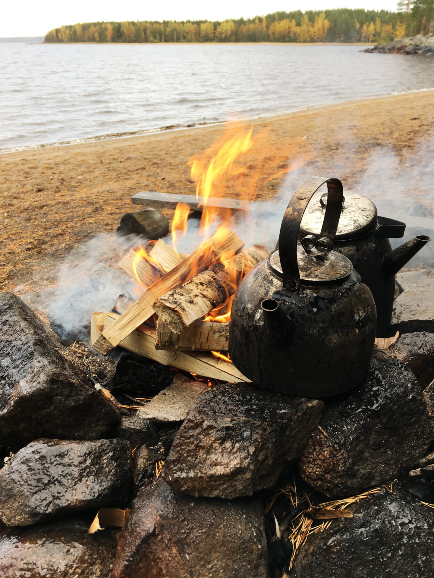 Survivor Skills and Nature Experiences in Piispala