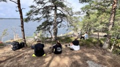 People enjoying the pine forest and views from the cliffs