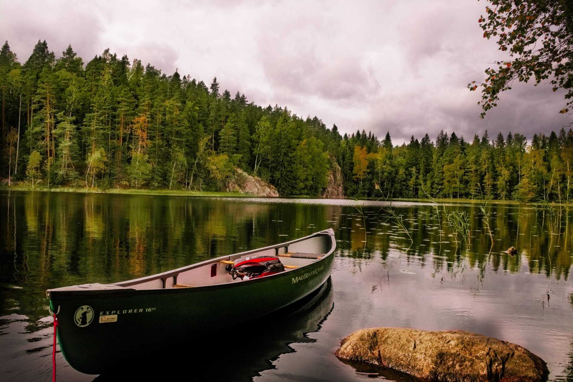 Nuuksio National Park Hike