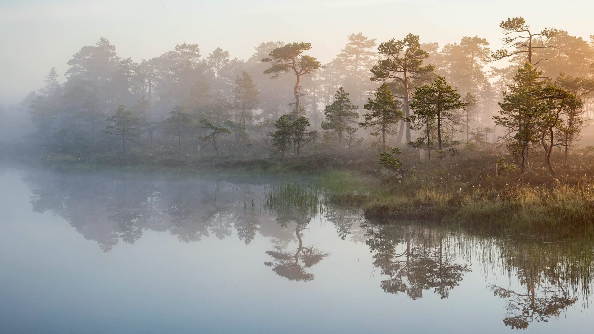 Lauhanvuori - Hämeenkangas UNESCO Global Geopark