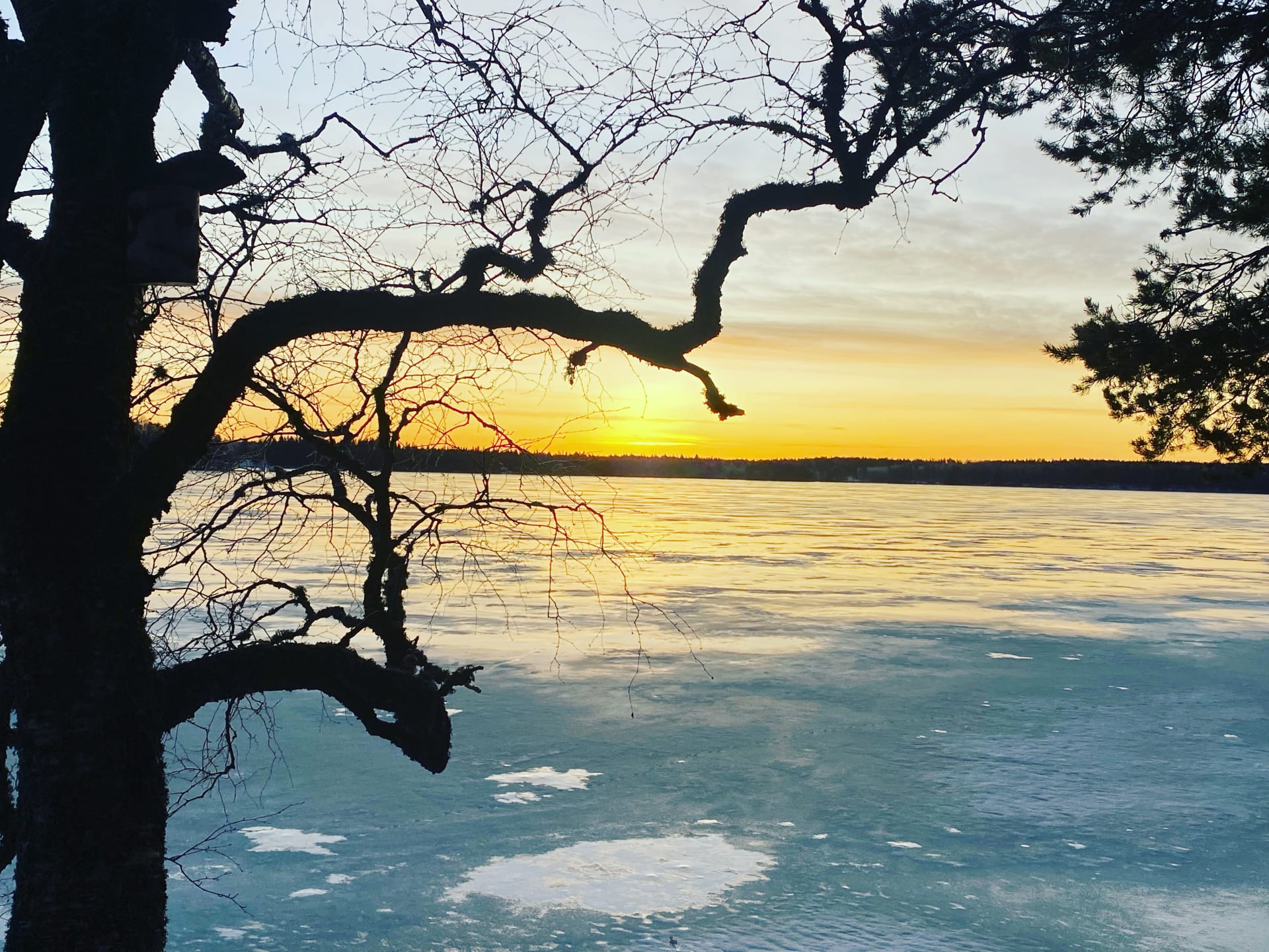 Kovesjärvi lake.