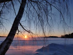 Winterly Lake Vanaja