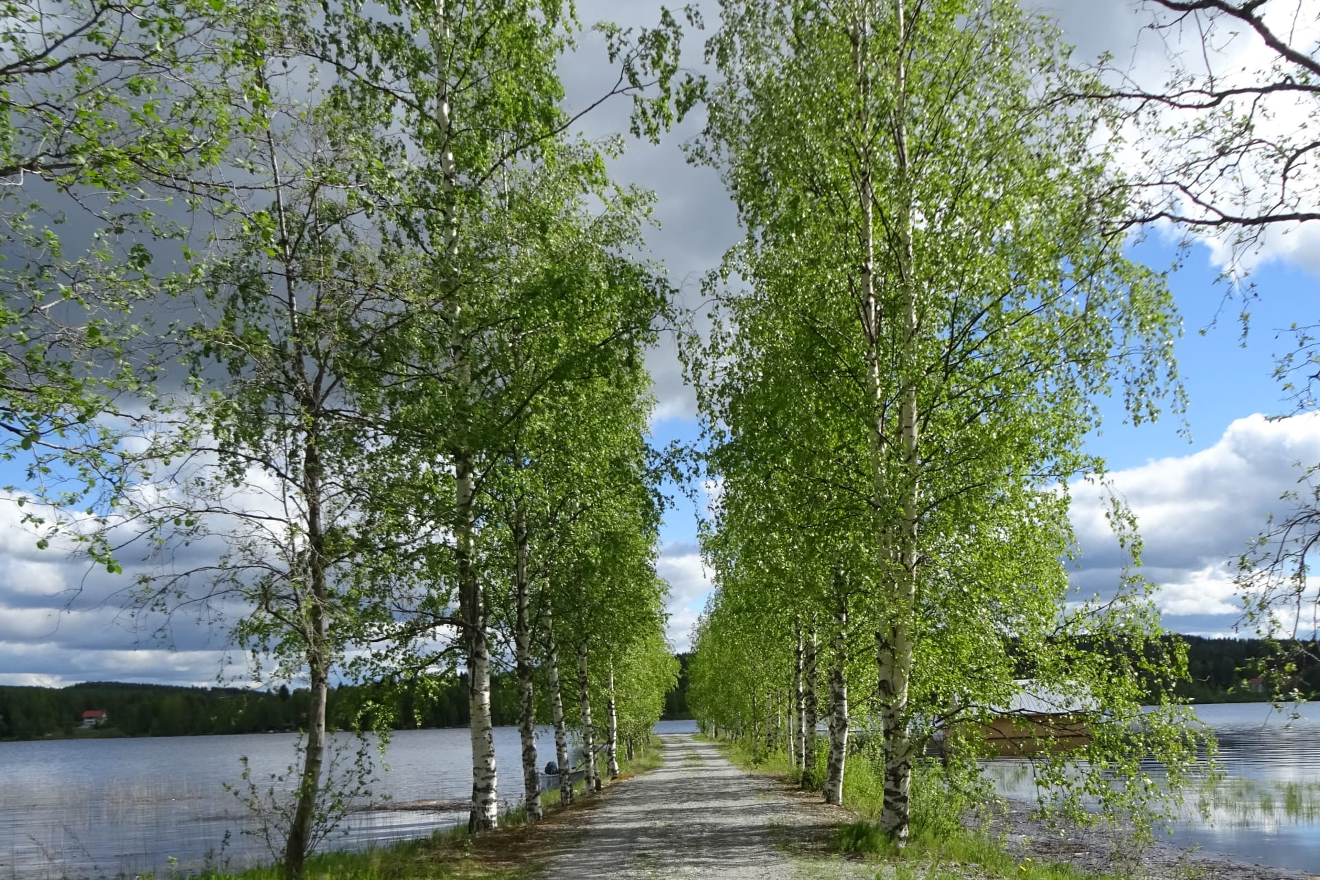 Majatalosta majataloon kävellen