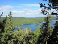 Top of Kammiovuori Hill