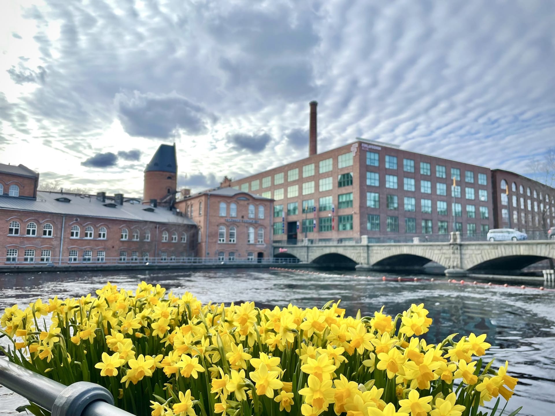 Tammerkoski rapids