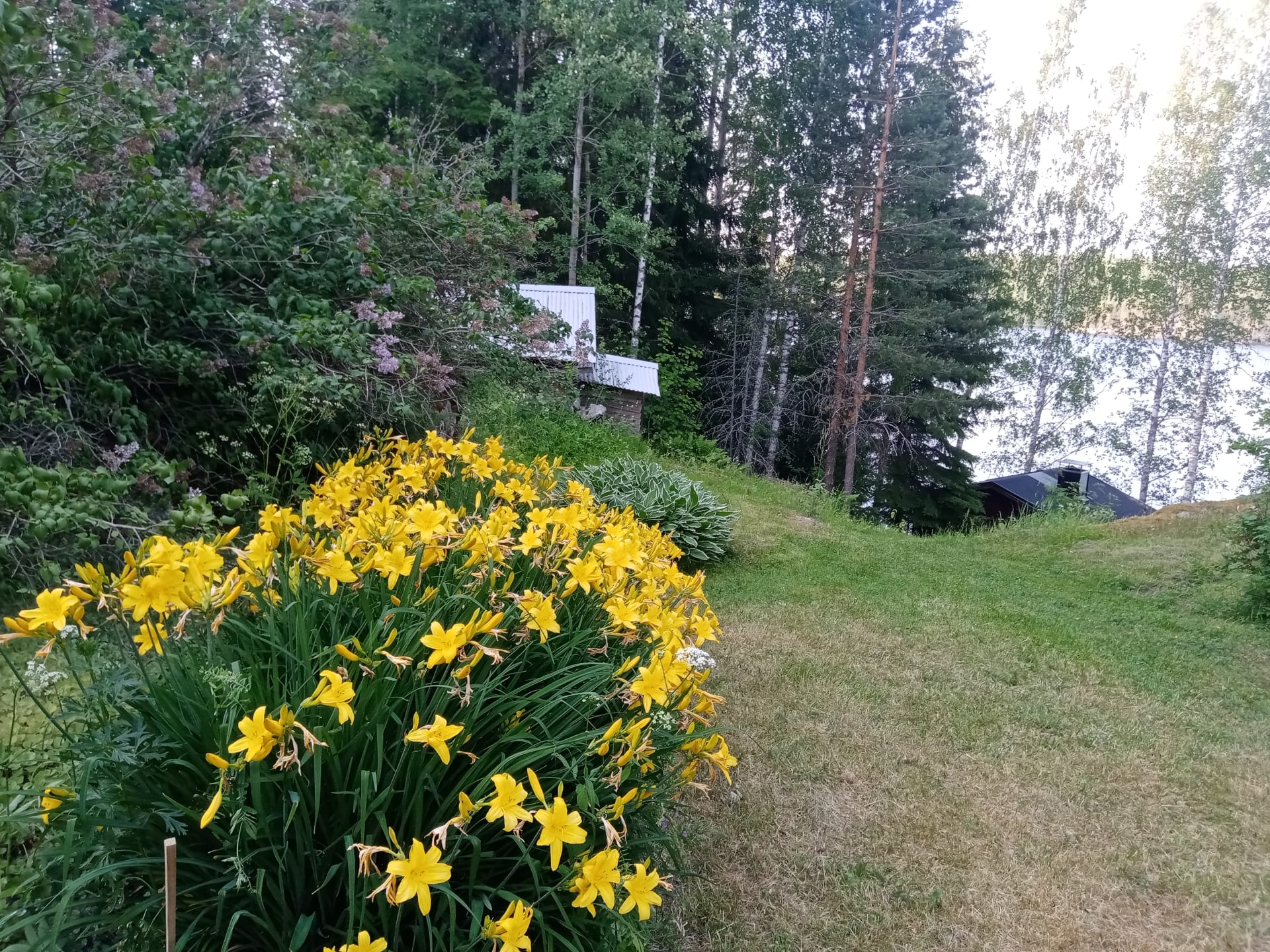 garden