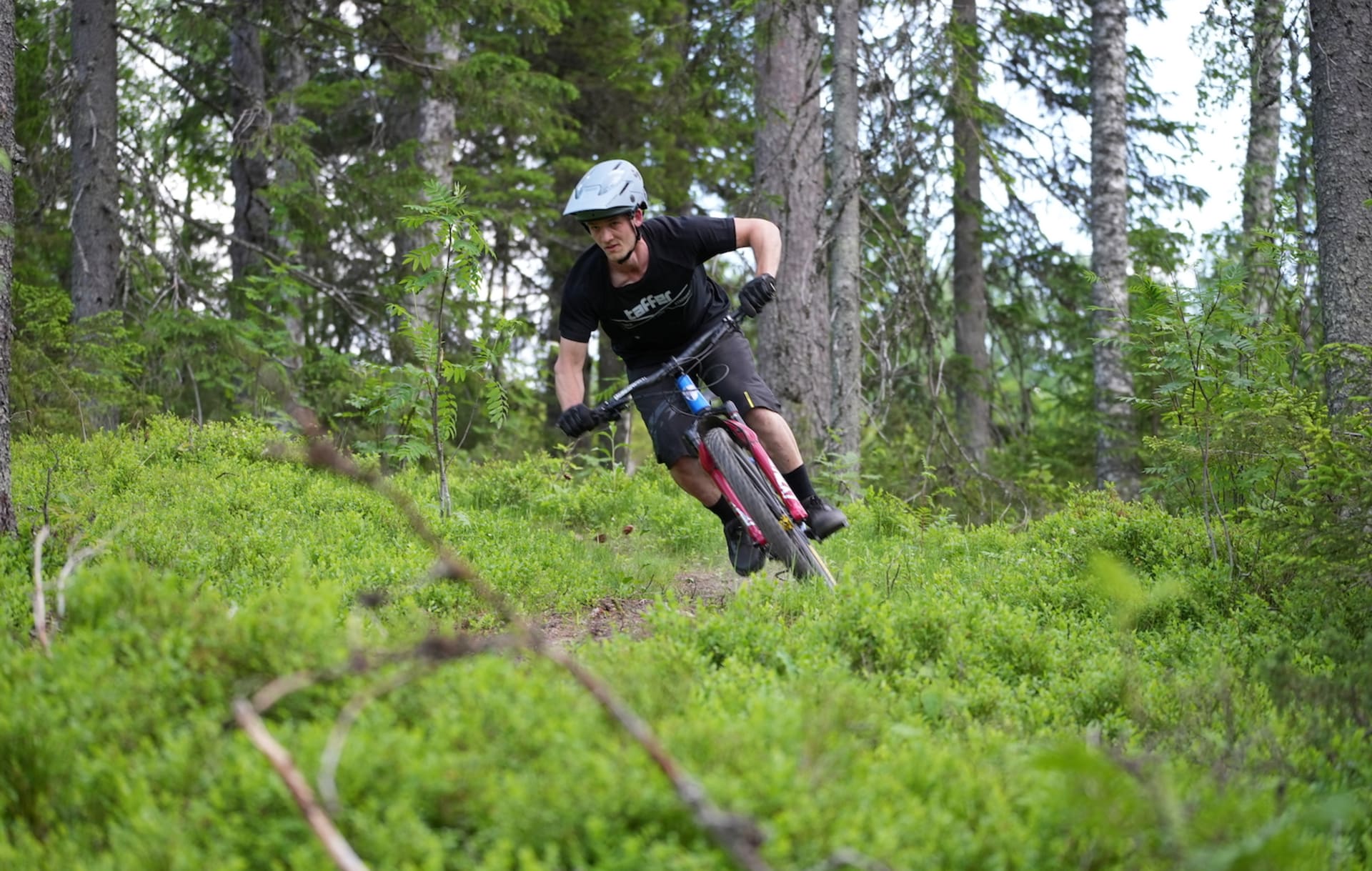 Ukkohalla Bike Park