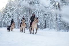 Horseback riding in Apukka Resort through snowy forest