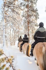 Horseback riding in Apukka Resort through snowy forest