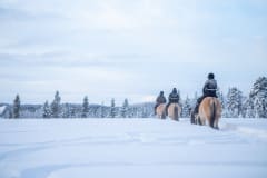 Horseback riding in Apukka Resort through snowy forest