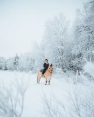 Horseback riding in Apukka Resort through snowy forest