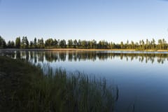 Markkuun ampumaradan uimapaikka