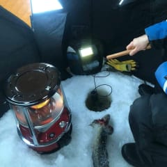 Burbot Ice Fishing5