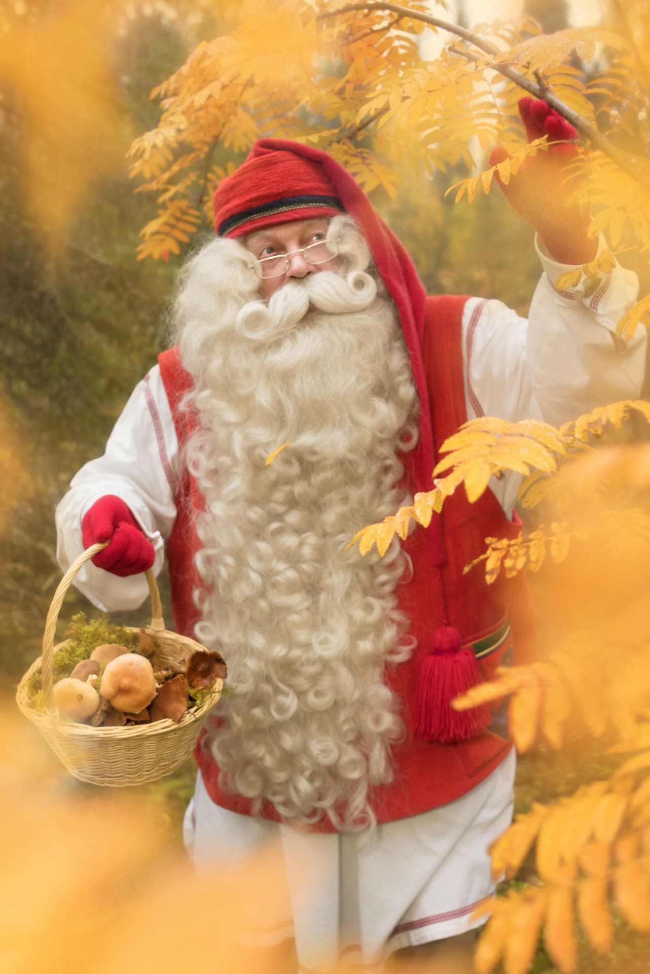 Santa Claus in the forest in Autumn