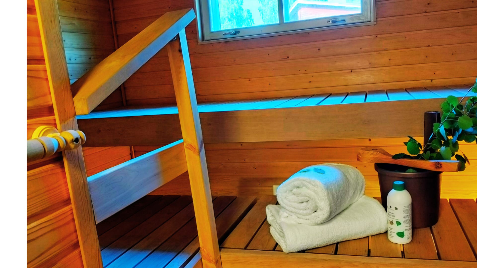 Taiga Resort sauna