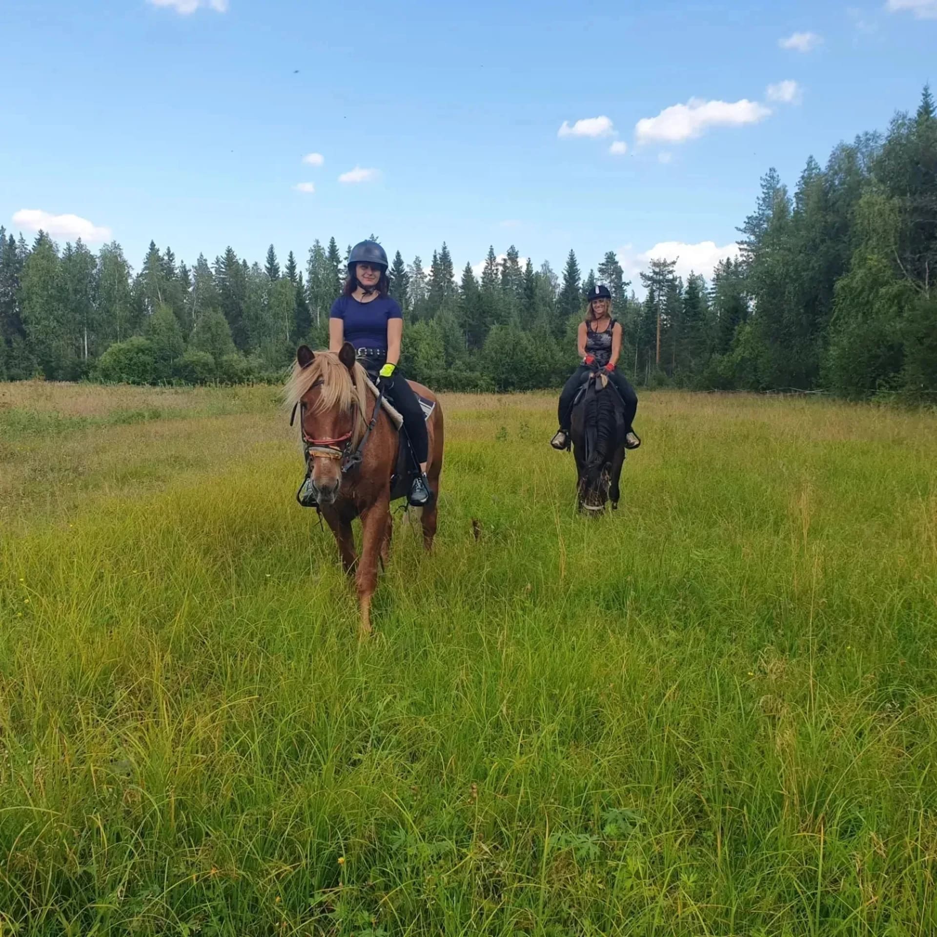 Summer ride and autumn