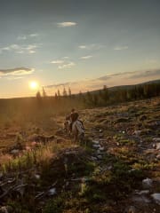 Horseback riding midnight sun and hills