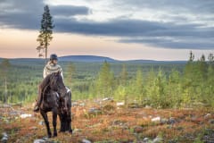 Horse rider and beautiful landscape with lapland mountain