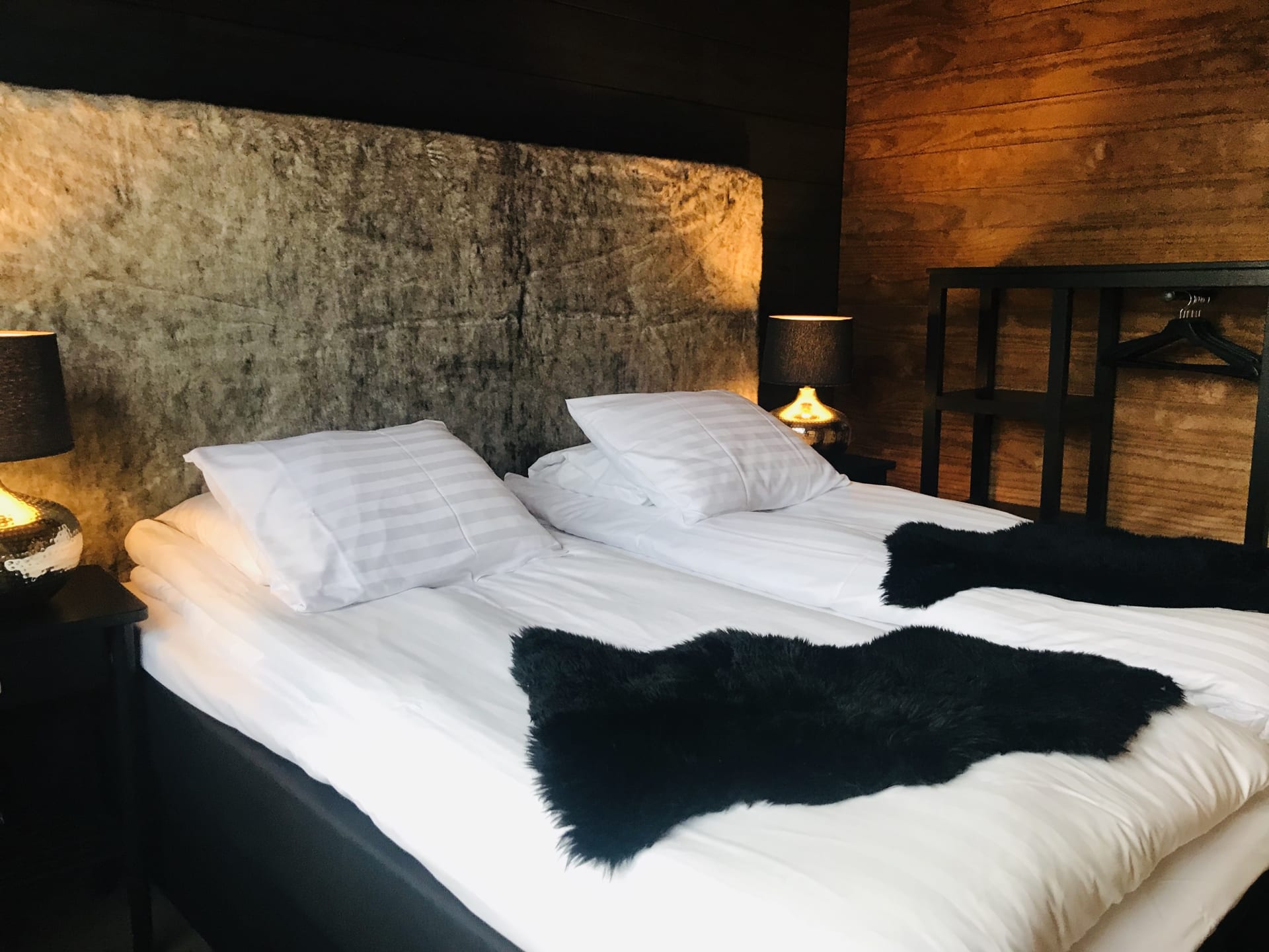Arctic Suite