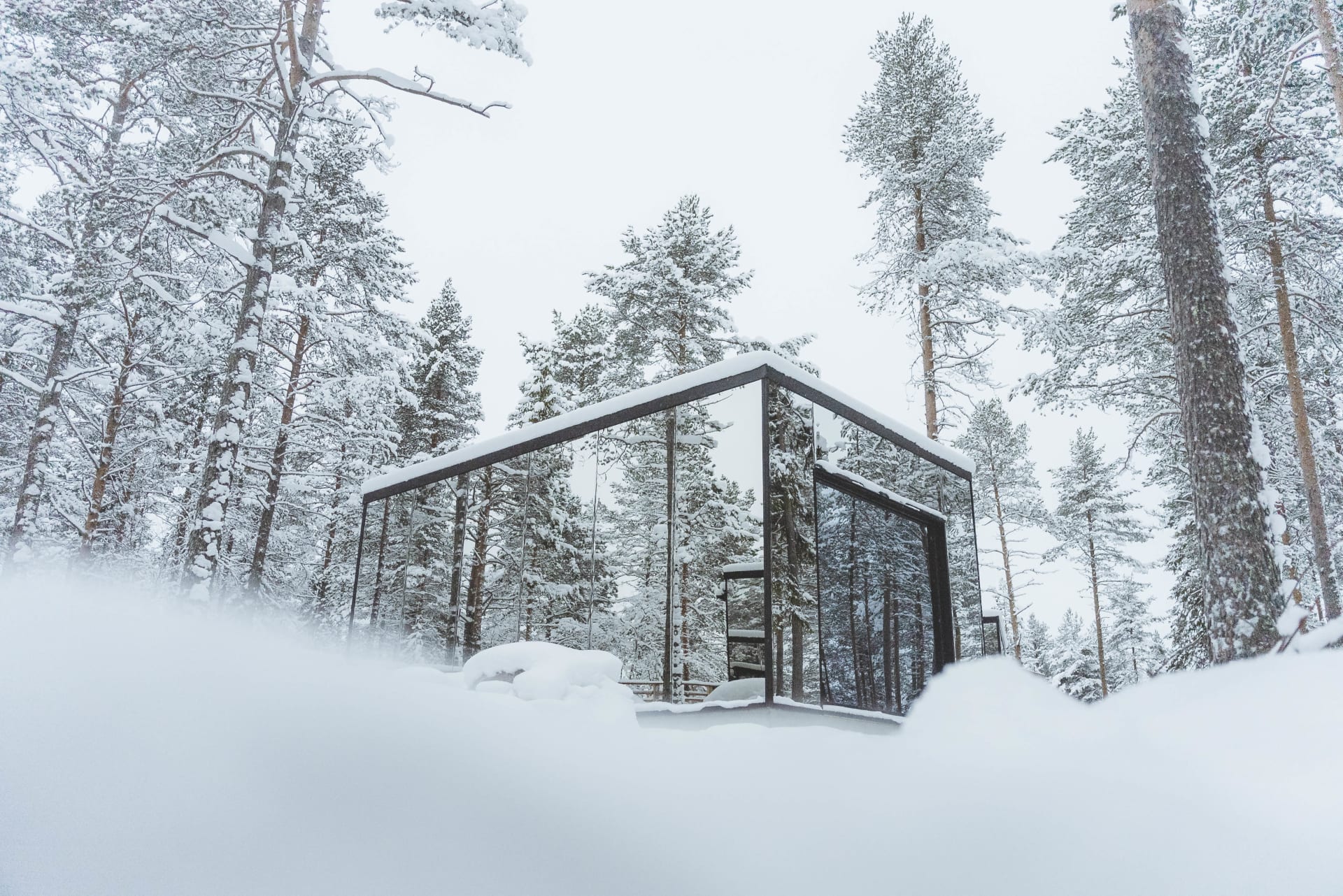 Invisible Forest Lodge | Visit Finland