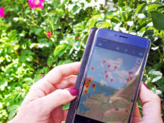 Digioppaasi Raahessa Glopas