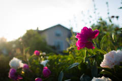 Kenkäveron lahjakortti