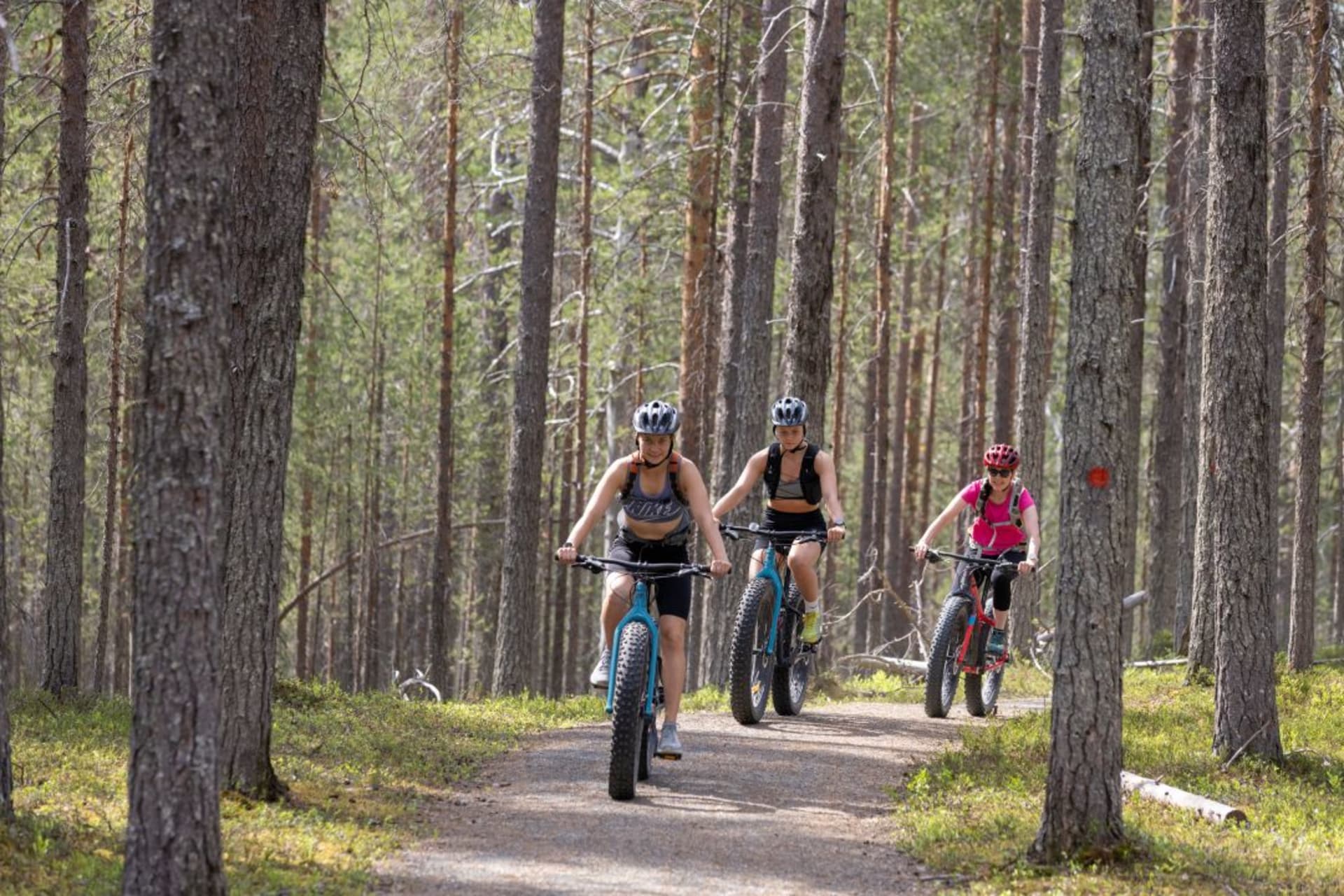 Maastopyöräilijöitä Hossan kansallispuistossa kokalmuksen reitillä