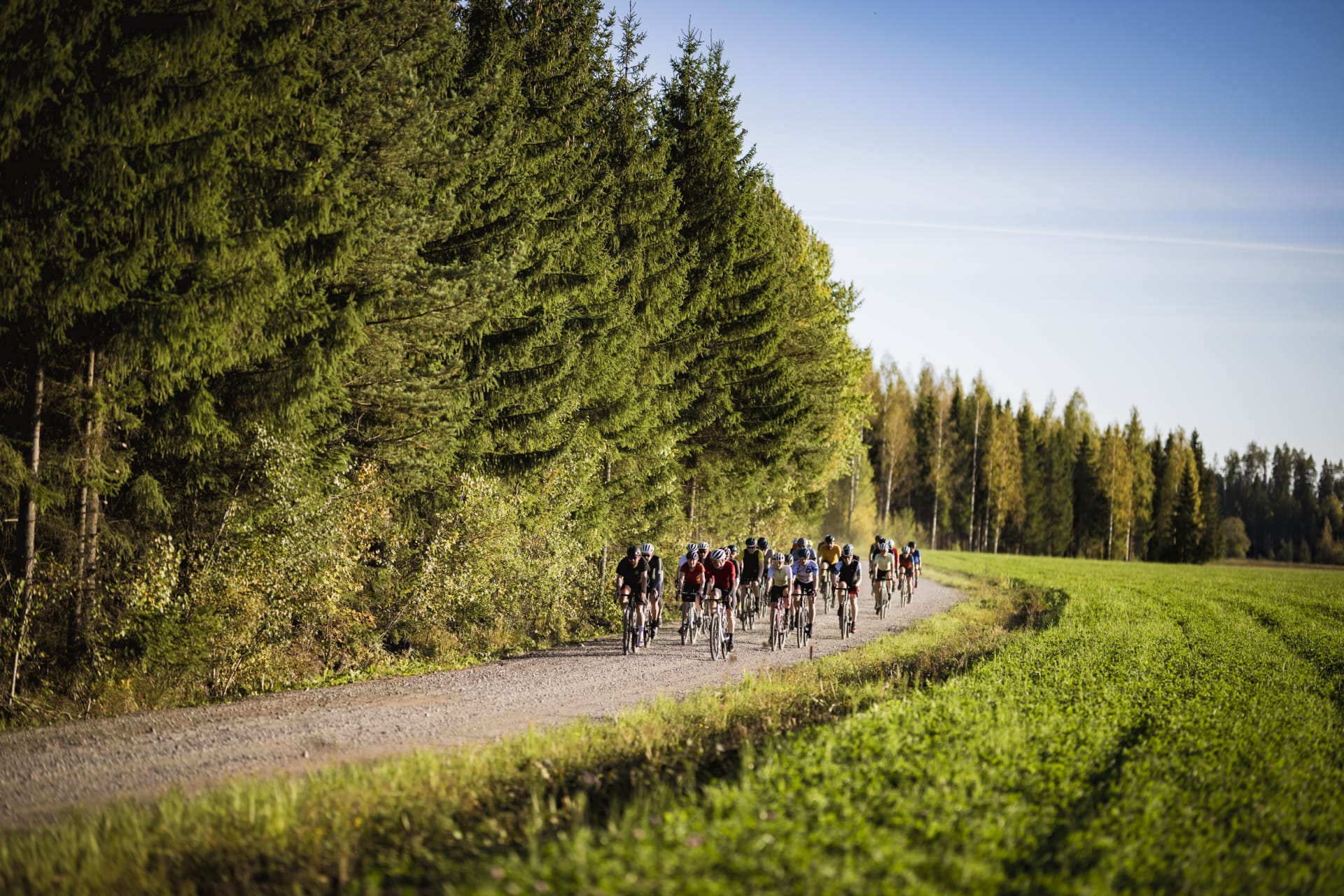 Nordic Gravel Series Falling Leaves 2024