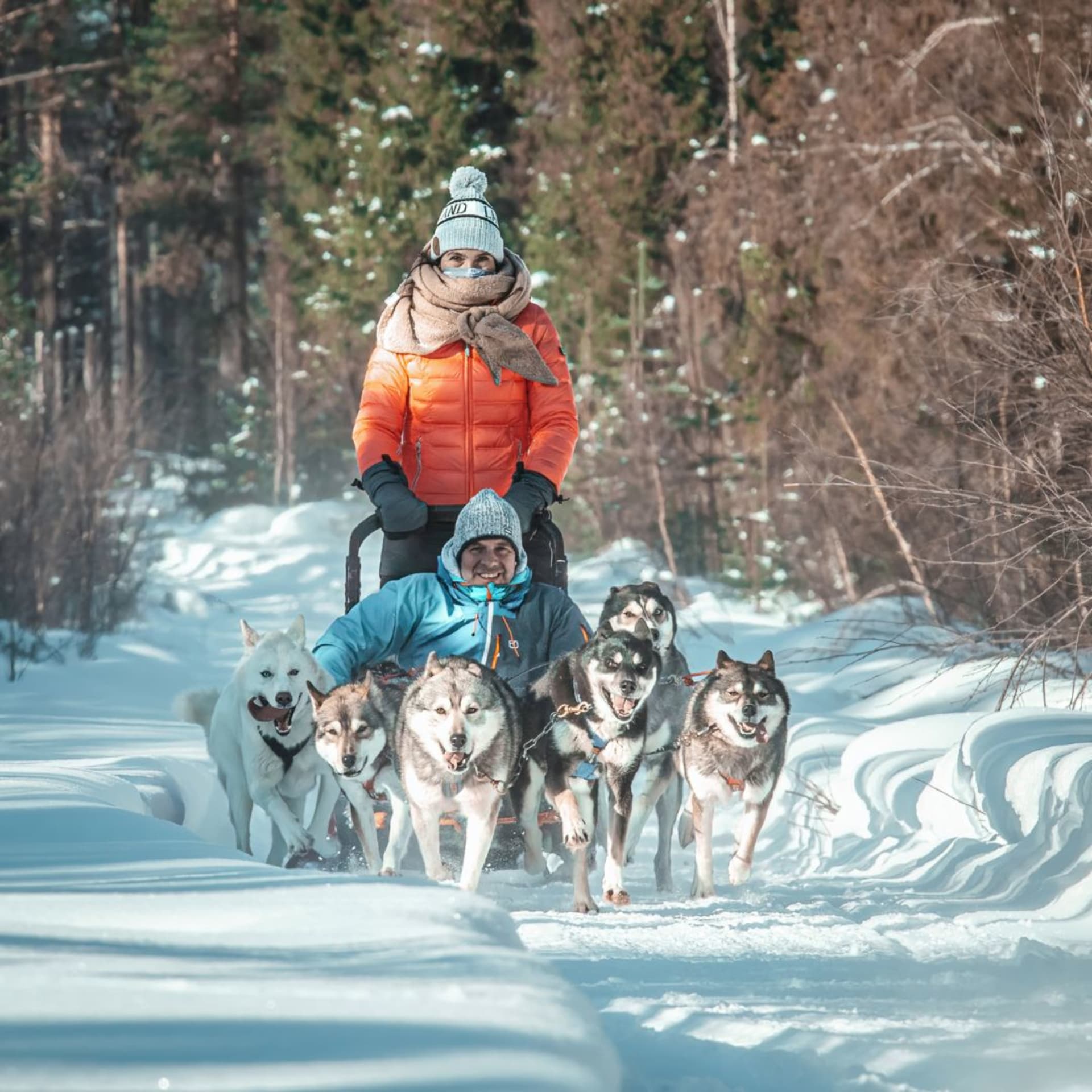 Husky Safari