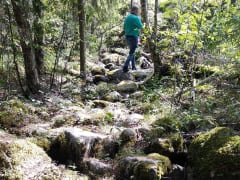 Man climbing up a rocky path.