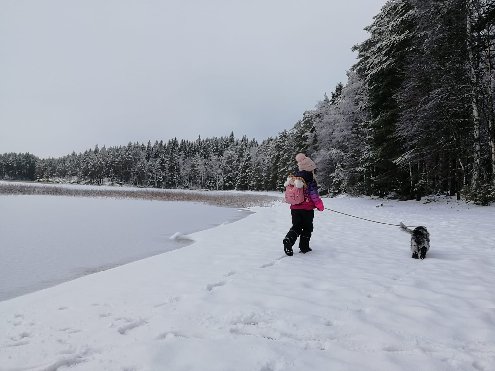 Tyttö taluttaa koiraa lumen peittämällä hiekkarannalla. Kuva: Tiia Kuokkanen