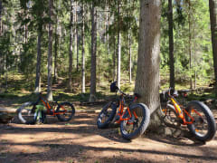 e-fatbike safari Repovesi