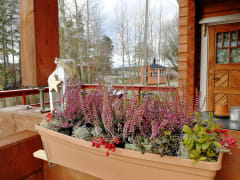 Sauna flowers on terrace