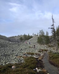 Hiking in Ylläs