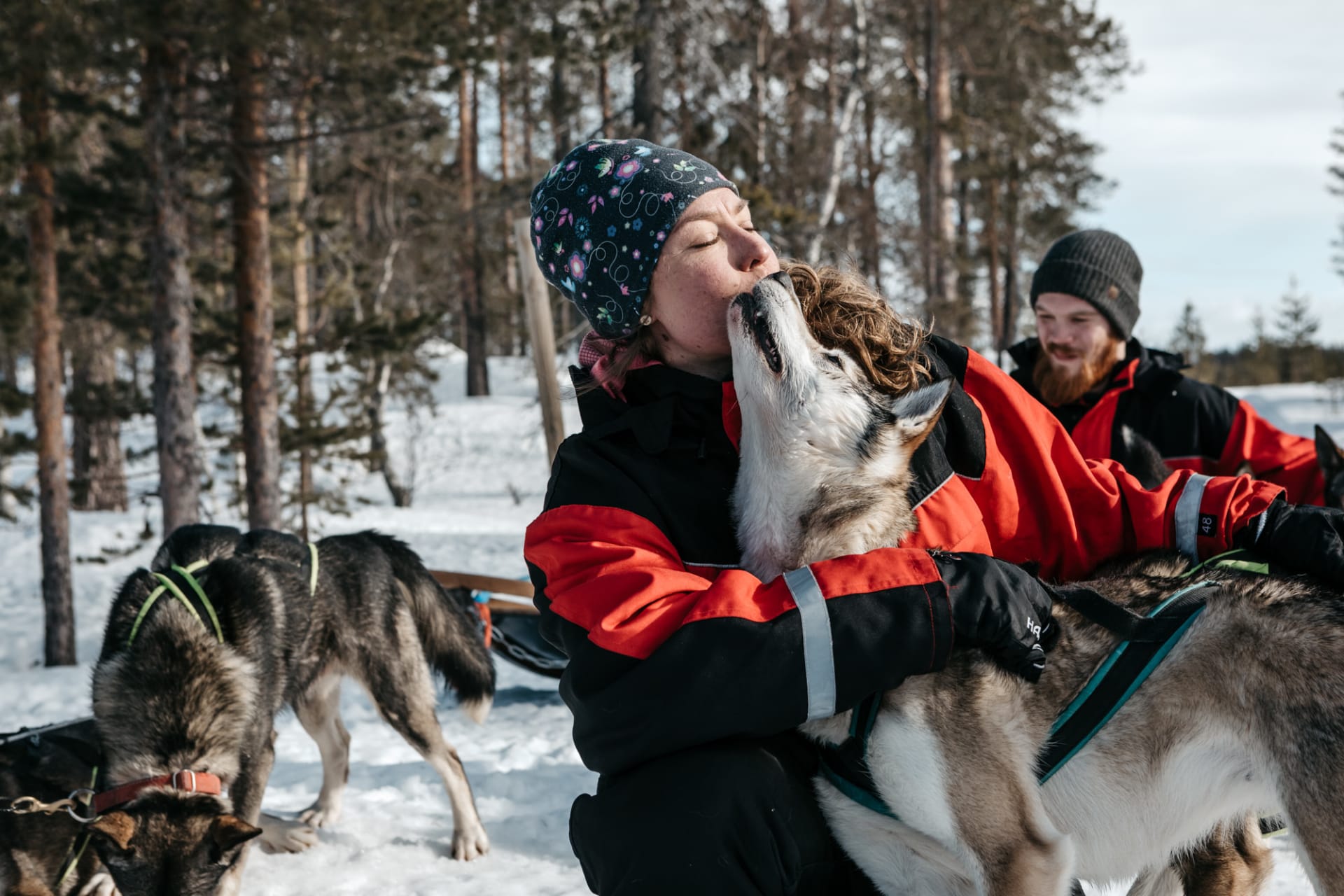 HUSKY SAFARI 20 KM, Saariselkä